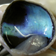 Image for article titled You have an excellent supply of stem cells right behind your eye